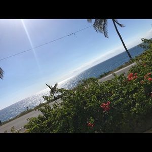 Meet your Posher, Faith